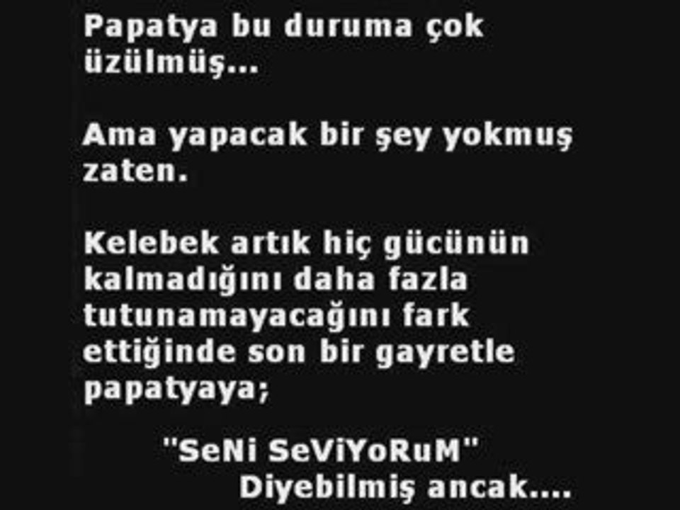 Neden Papatya Falı Bakarız Hiç Düşündünüzmü?