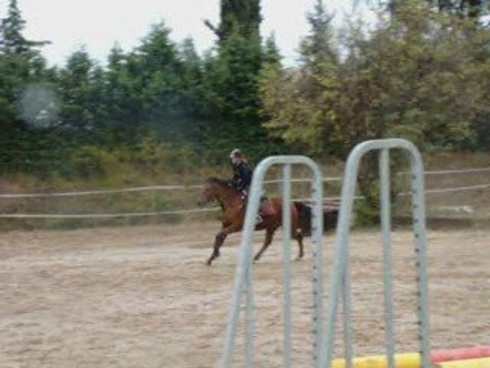 Champion ♥