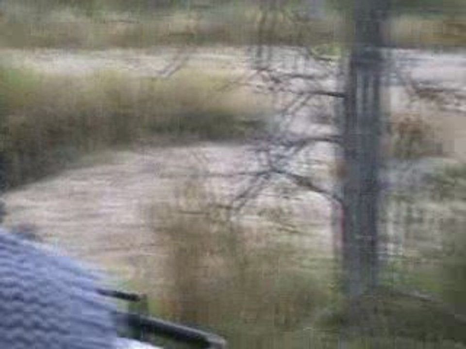 lions au bord de l'eau