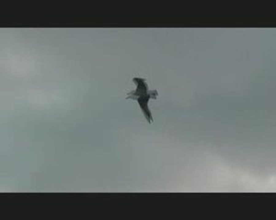 Avec douceur ou avec colère