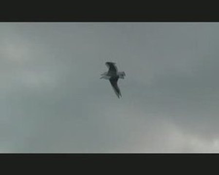 Avec douceur ou avec colère