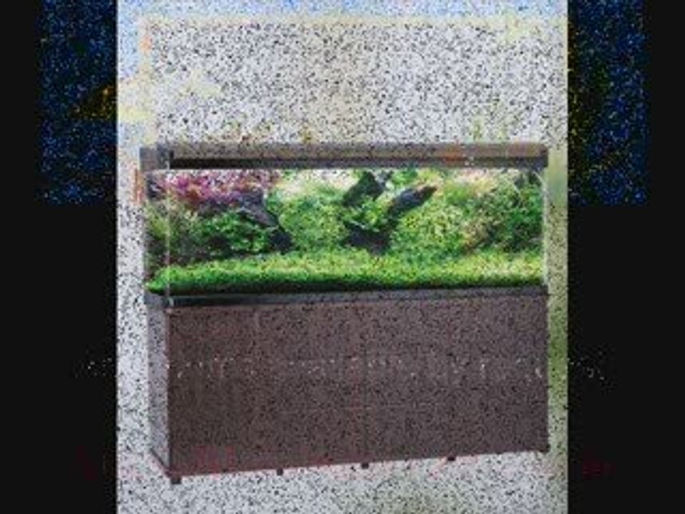 Just Add Water Aquariums Product Catolog