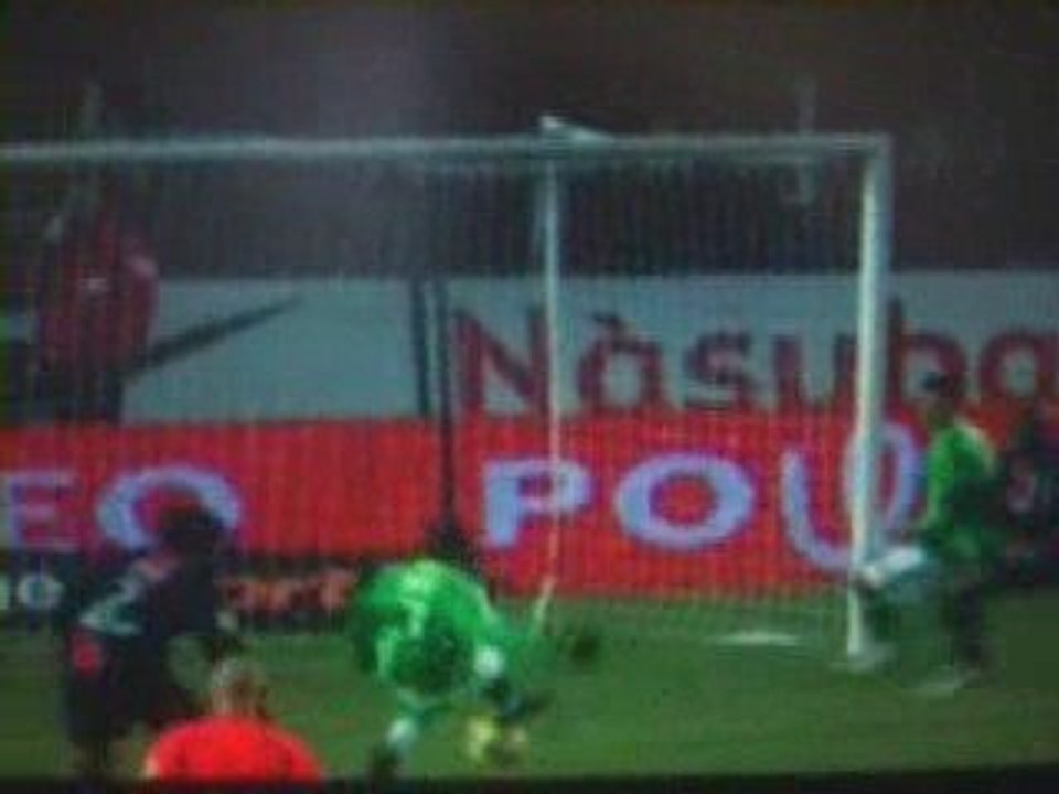 les verts