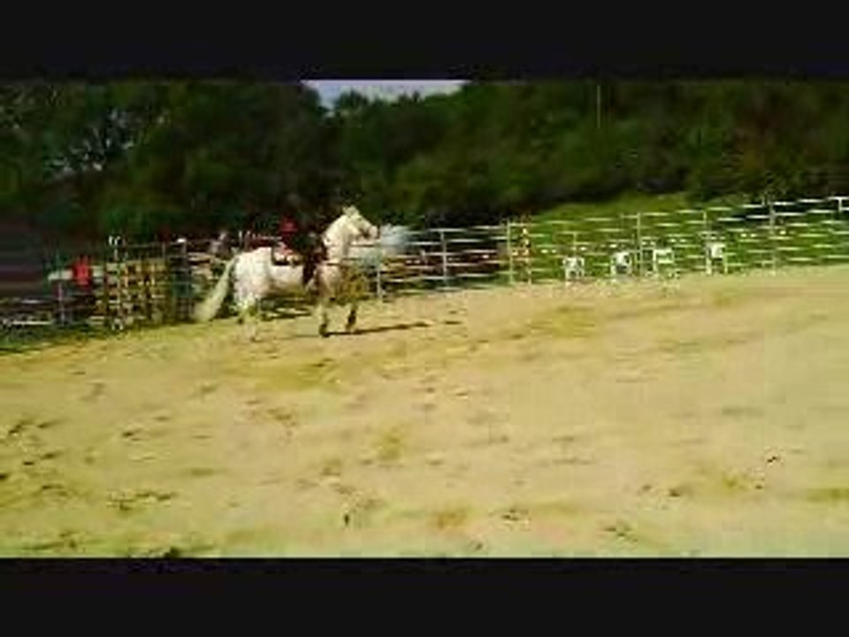 Delphine et King, juin 2009, practice