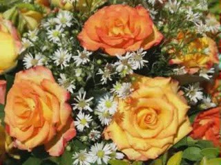 otan tha fugis filipas nikolaou