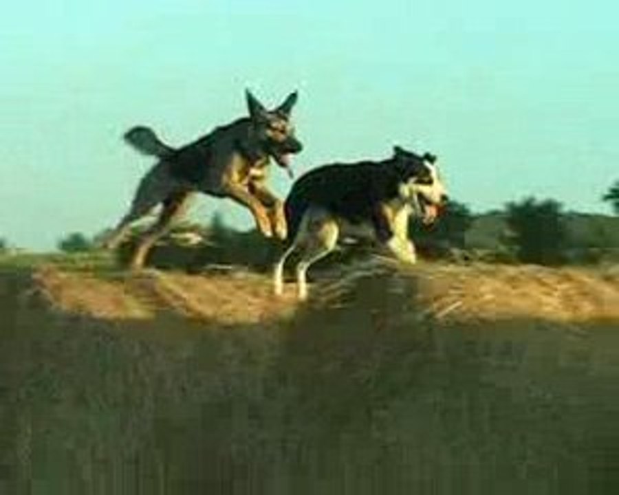 miko et cheyenne botte de foin