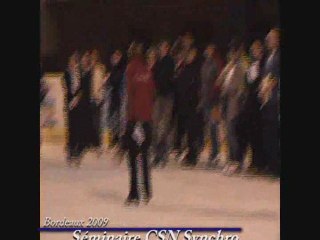 Seminaire Patinage Synchronisé Bordeaux 2009