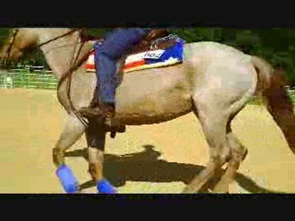 alexandre et jafna juin 2009 reined work