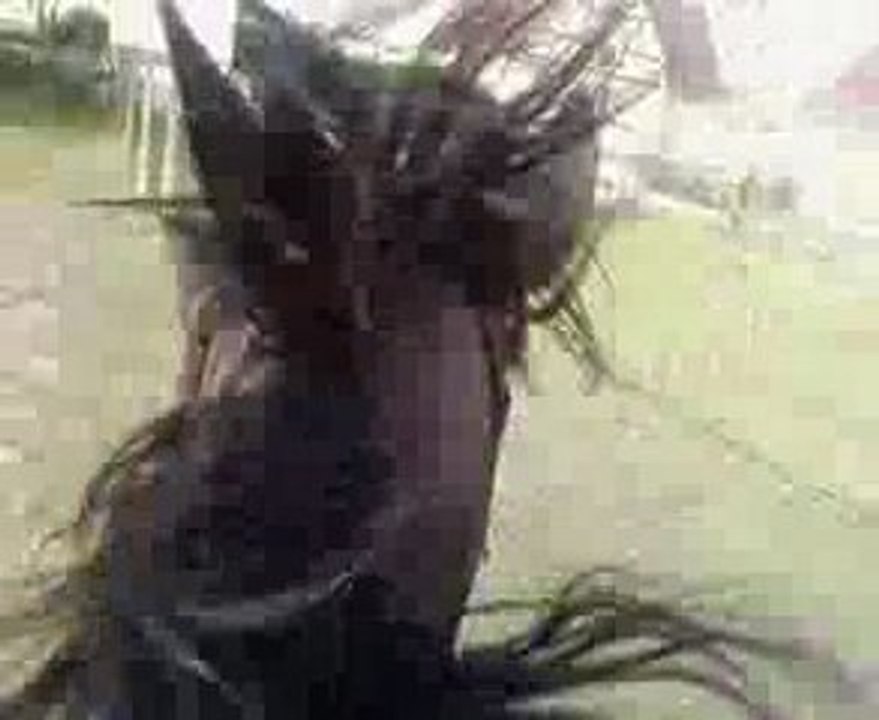 Tagada Tagada Tagada =3