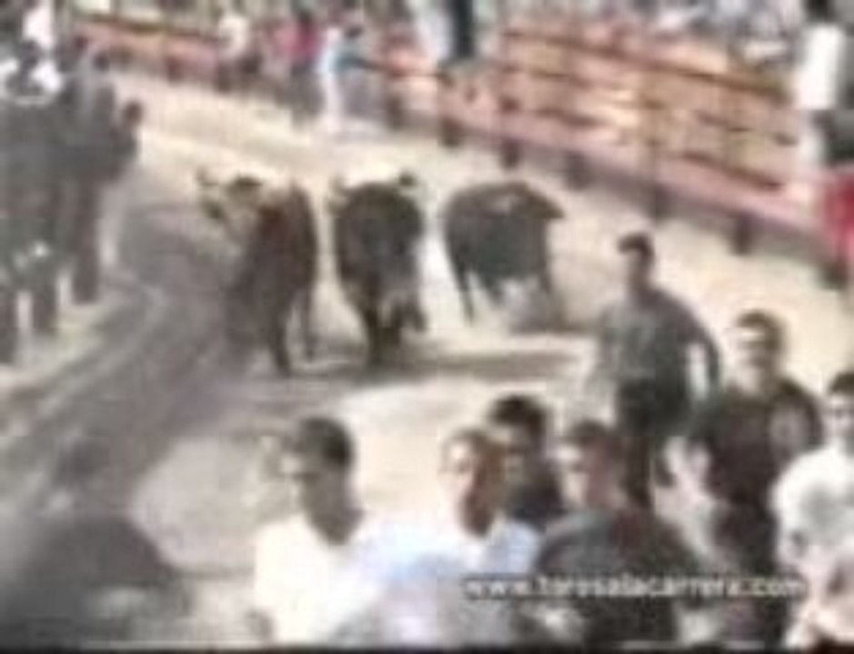Encierros El Boalo 2004