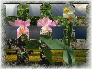 '' TĘCZOWE KROPLE ''   -  Duet  BoJan