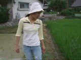 Planting Rice in Japan I