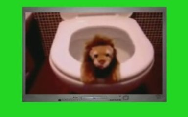 Mi mascota Machote (loquendo)