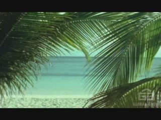 "BUZZIRK MOBILE" - Tips Before Joining - (Buzzirk Mobile)