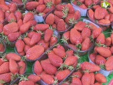 Fête de la fraise - Beaulieu