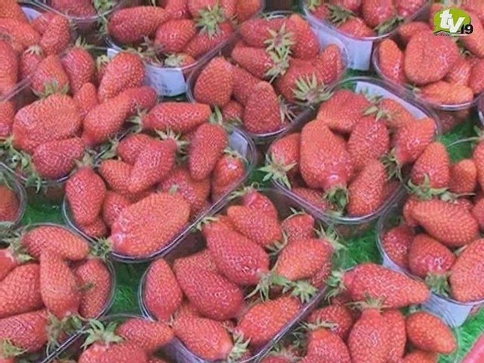 Fête de la fraise - Beaulieu