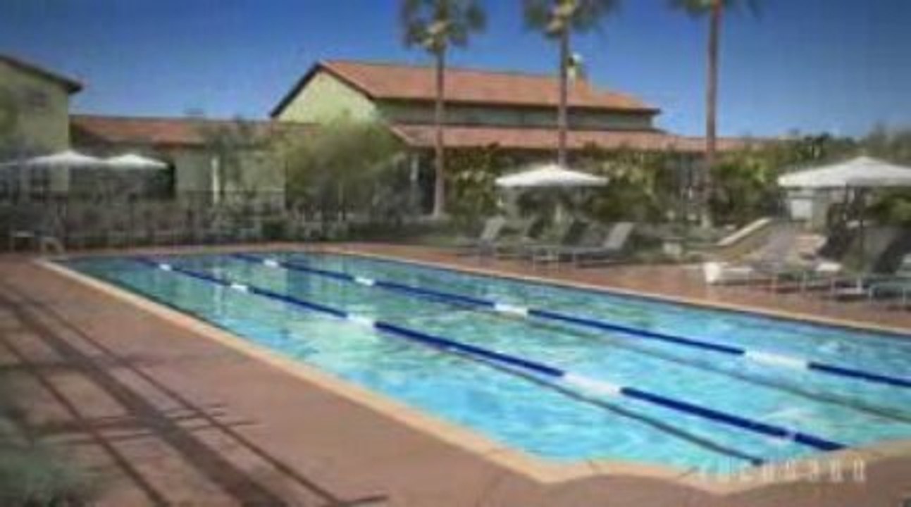 www.focus360.com - Spring Reel