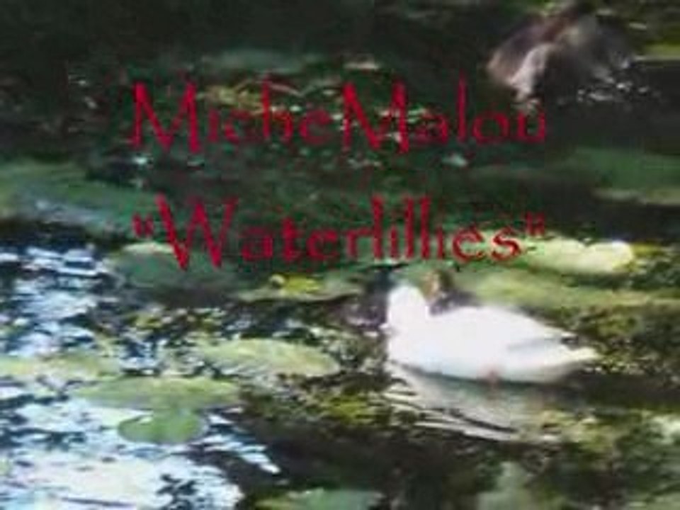 MicheMalou - "Waterlillies"