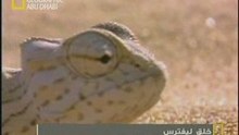 خلق ليفترس