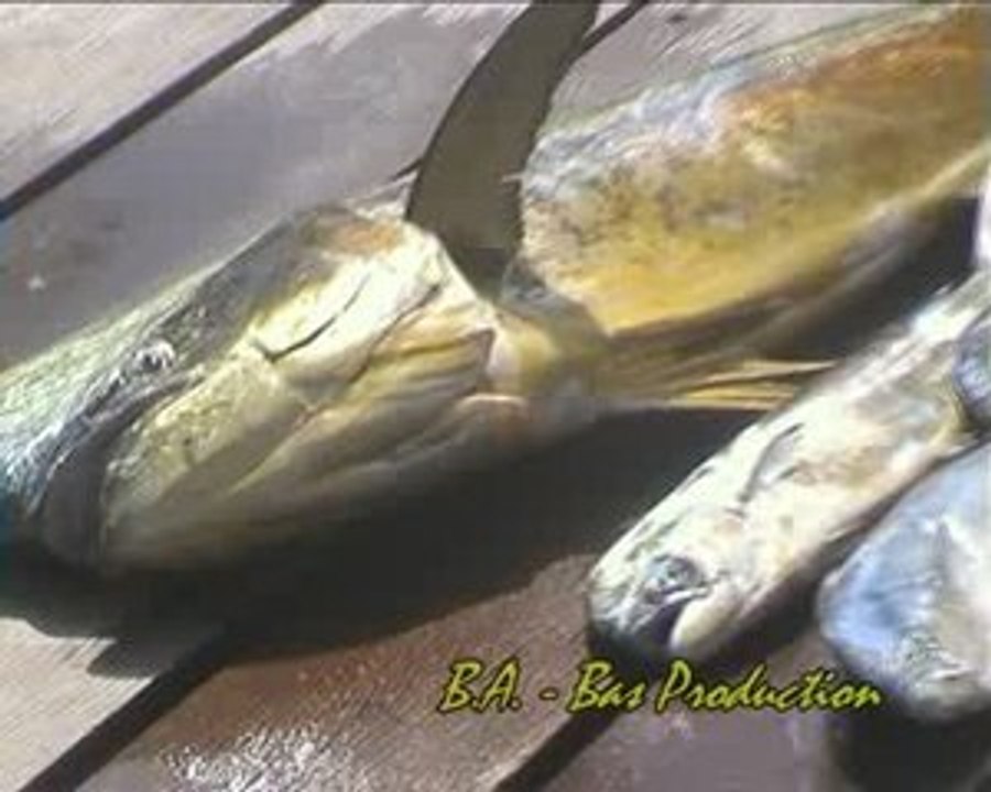 Ile Maurice – Retour de pêche