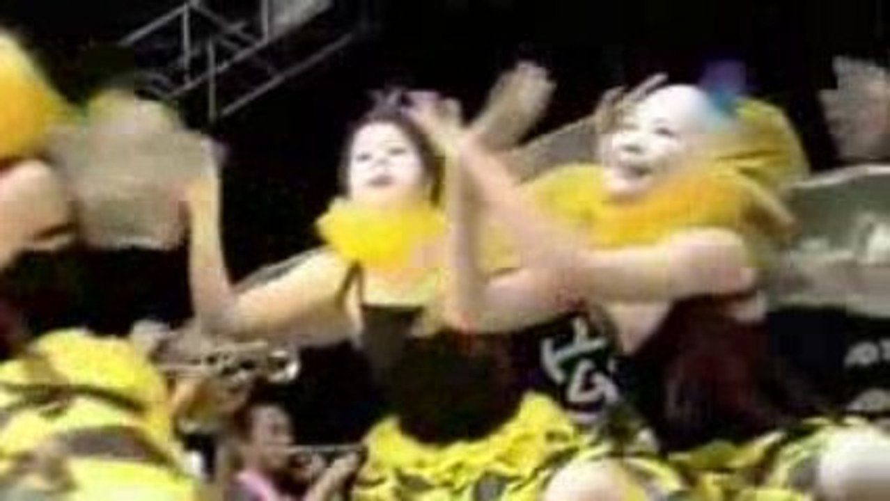 Shibusashirazu Orchestra live