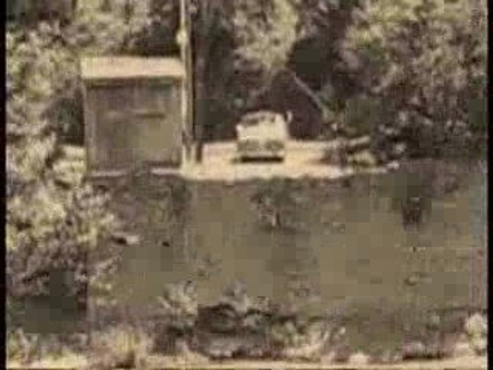 Urlaub 2009 am Wasserfall