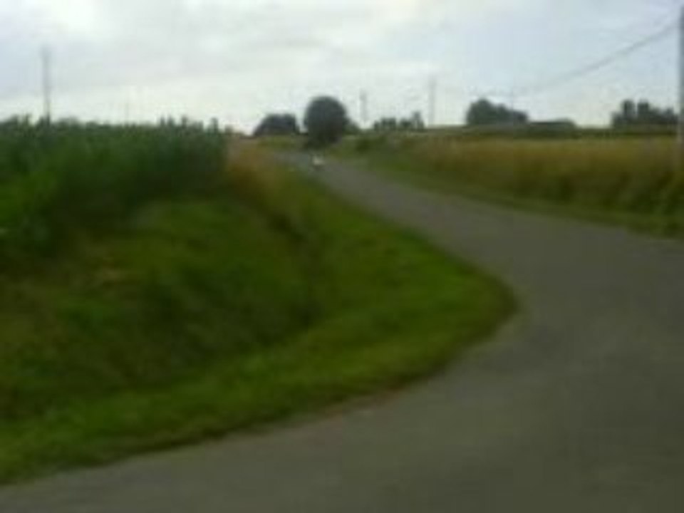 nitro  kit 70 polini