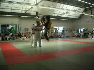 Casse taekwondo 360°