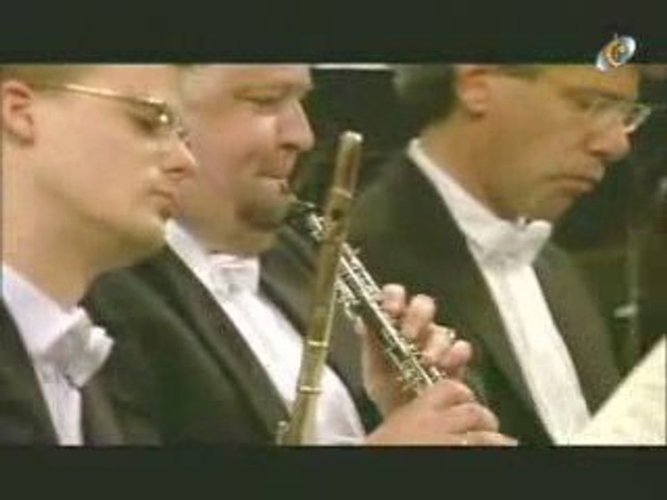 Johannes Brahms : 4e Symphonie, 1e mouvement.