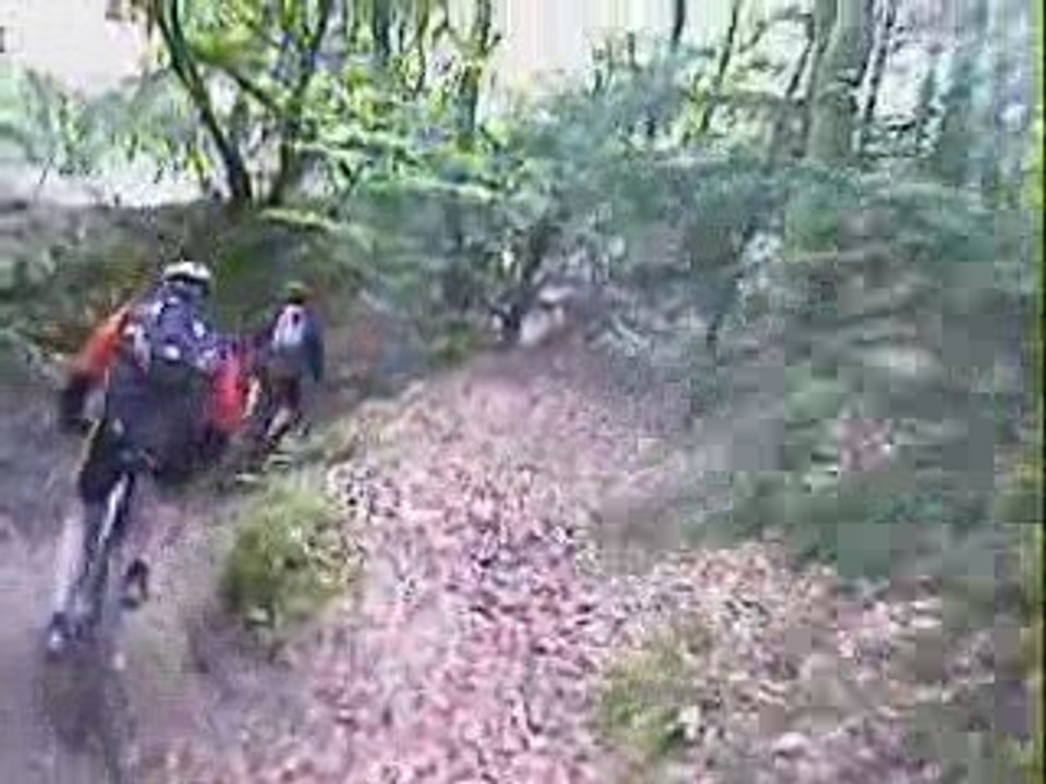 Reconnaissance Roc'h 2009