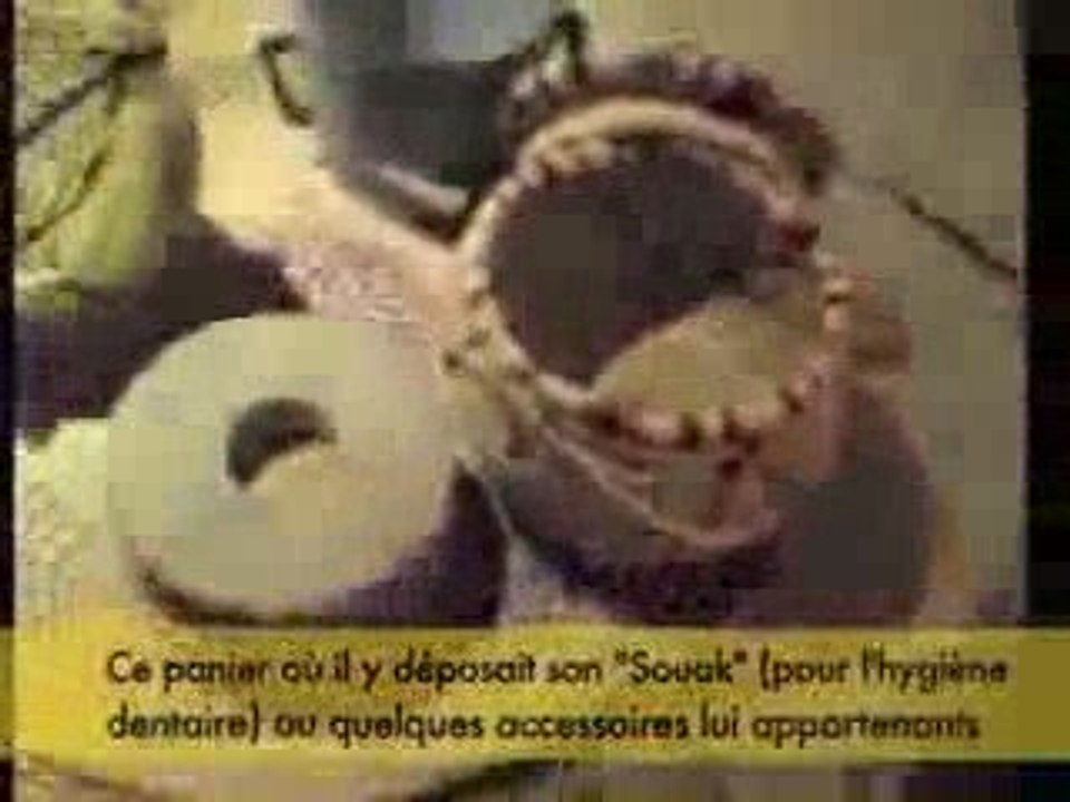 visite la maison du Prophète saw!!!