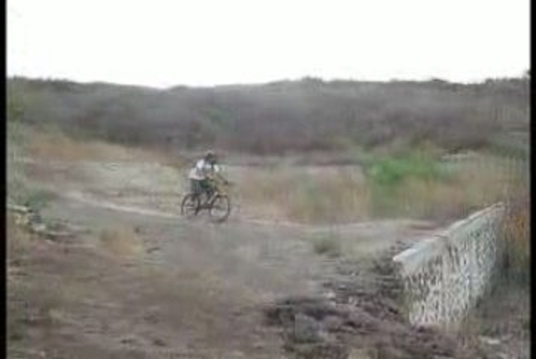 TRAILER DESERT DOGS PART 2