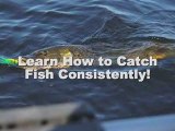 The Secret to Fishing Freshwater and Saltwater