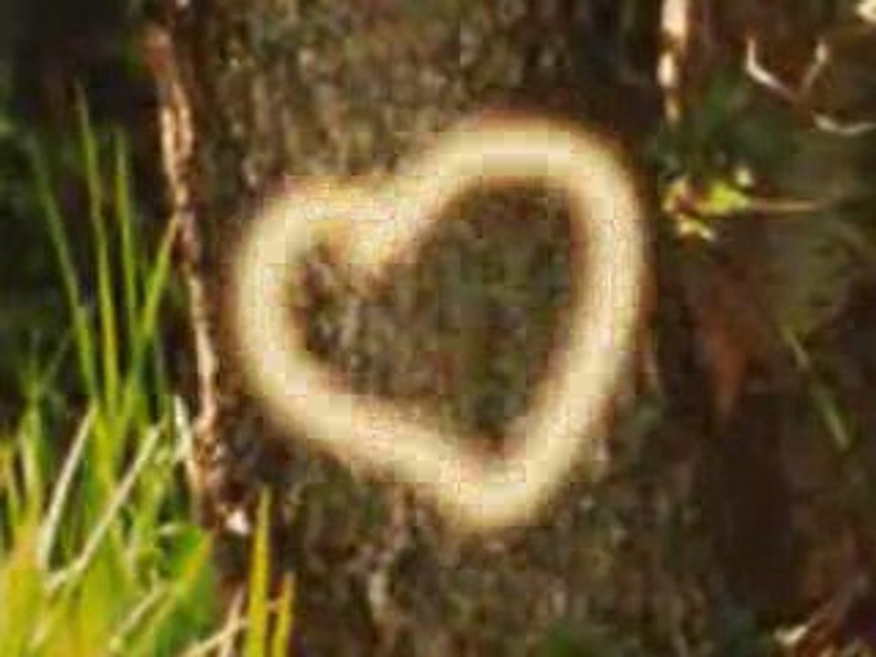 AYKUT ILTER, ELVEDA DIYECEKSIN, DESIGNED BY BAHADIR EYUP HAN