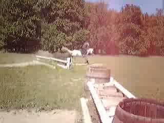 Julia Et Lolita  -  CROSS Haie