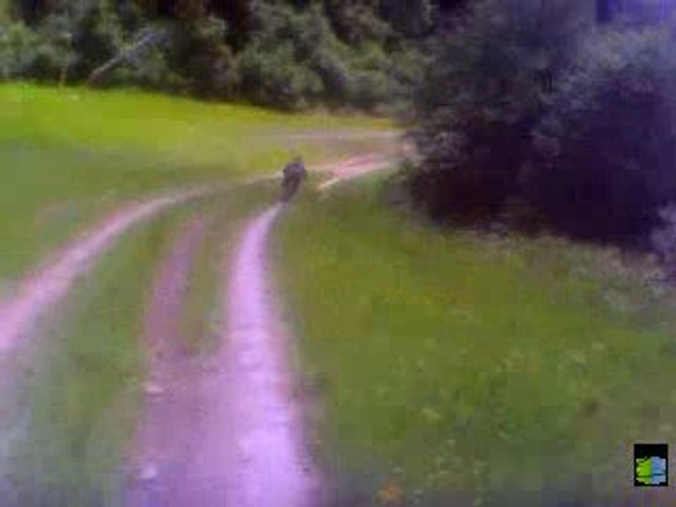 20090628 VTT :  pass'portes 2009