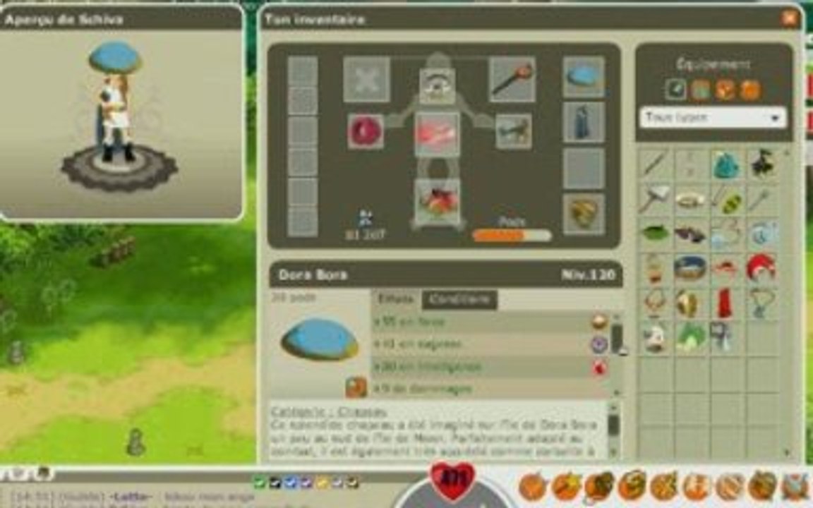 Dofus, Schiva une fecatte hacker