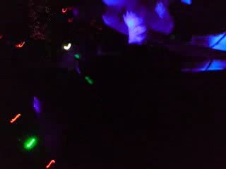 king of jump at tremplin