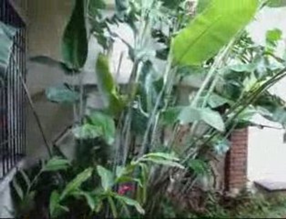 Dia 12 Costa Rica Parte 1 Esteban-Torres.com ...