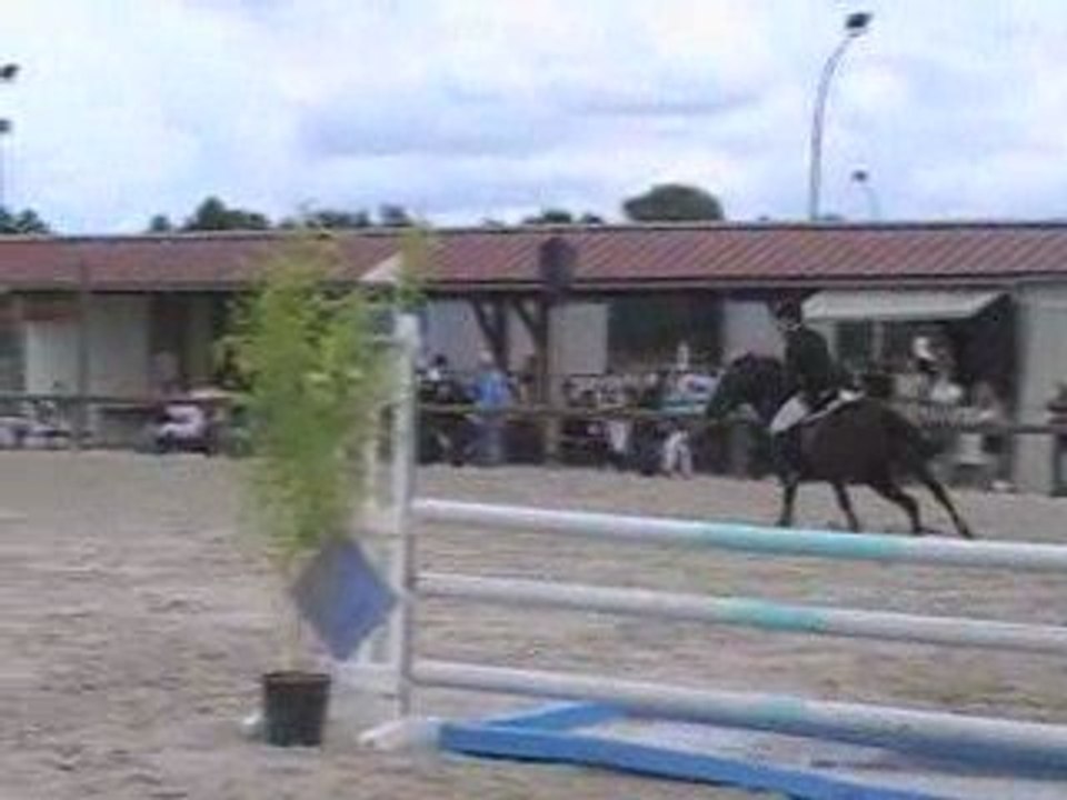 Falcon 21/06/09