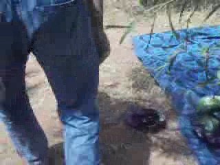 aithalouane.region d'azilal