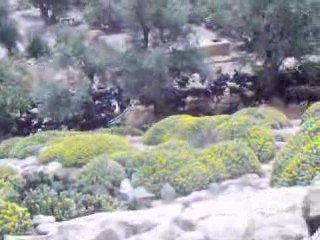 aithalouane.region d'azilal