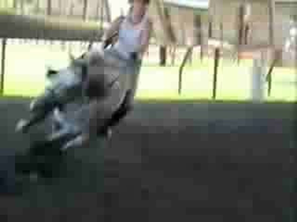 CHUTE DE CHEVAL