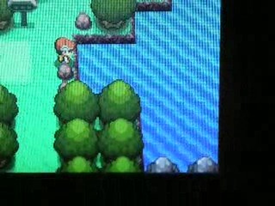 Bug avec méga canne sur DP.