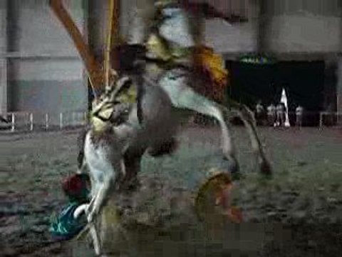 Salon du cheval colmar - chute