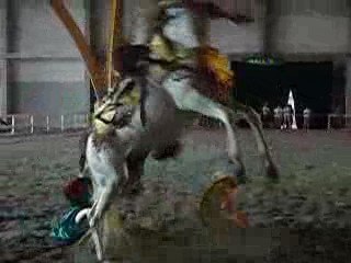 Salon du cheval colmar - chute