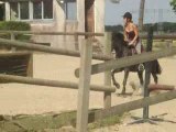 Tess et l'inco