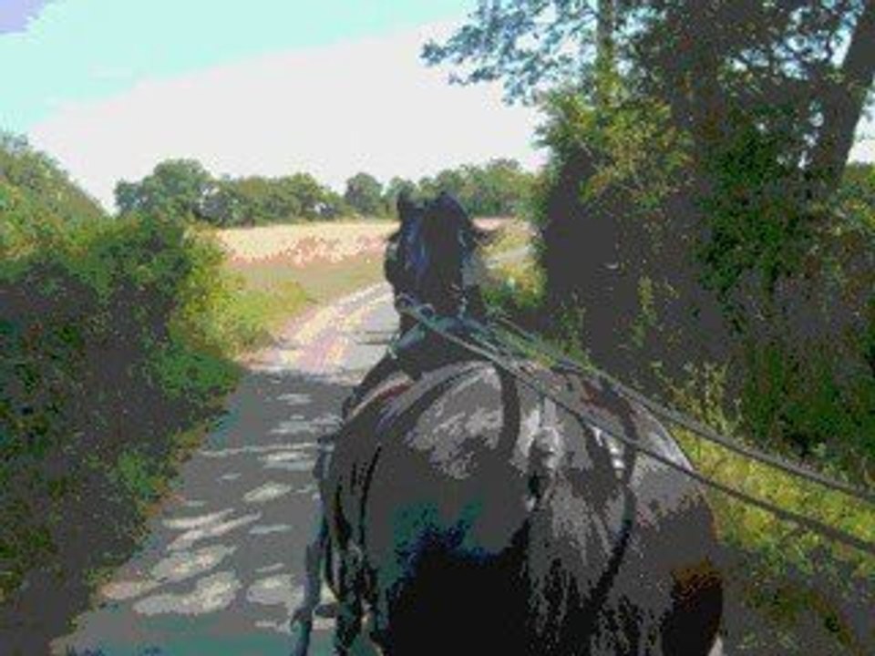 La ballade des jours chauds....