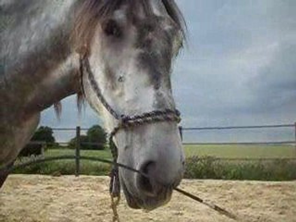 auto-désensibilisation au stick