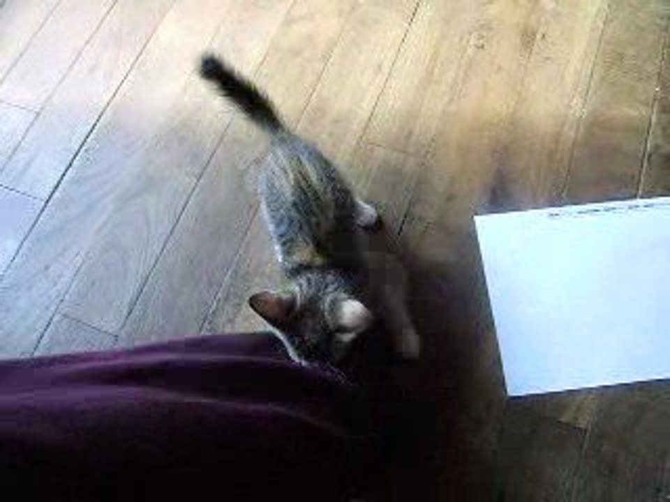 L'attaque de pied par Nessa version 1